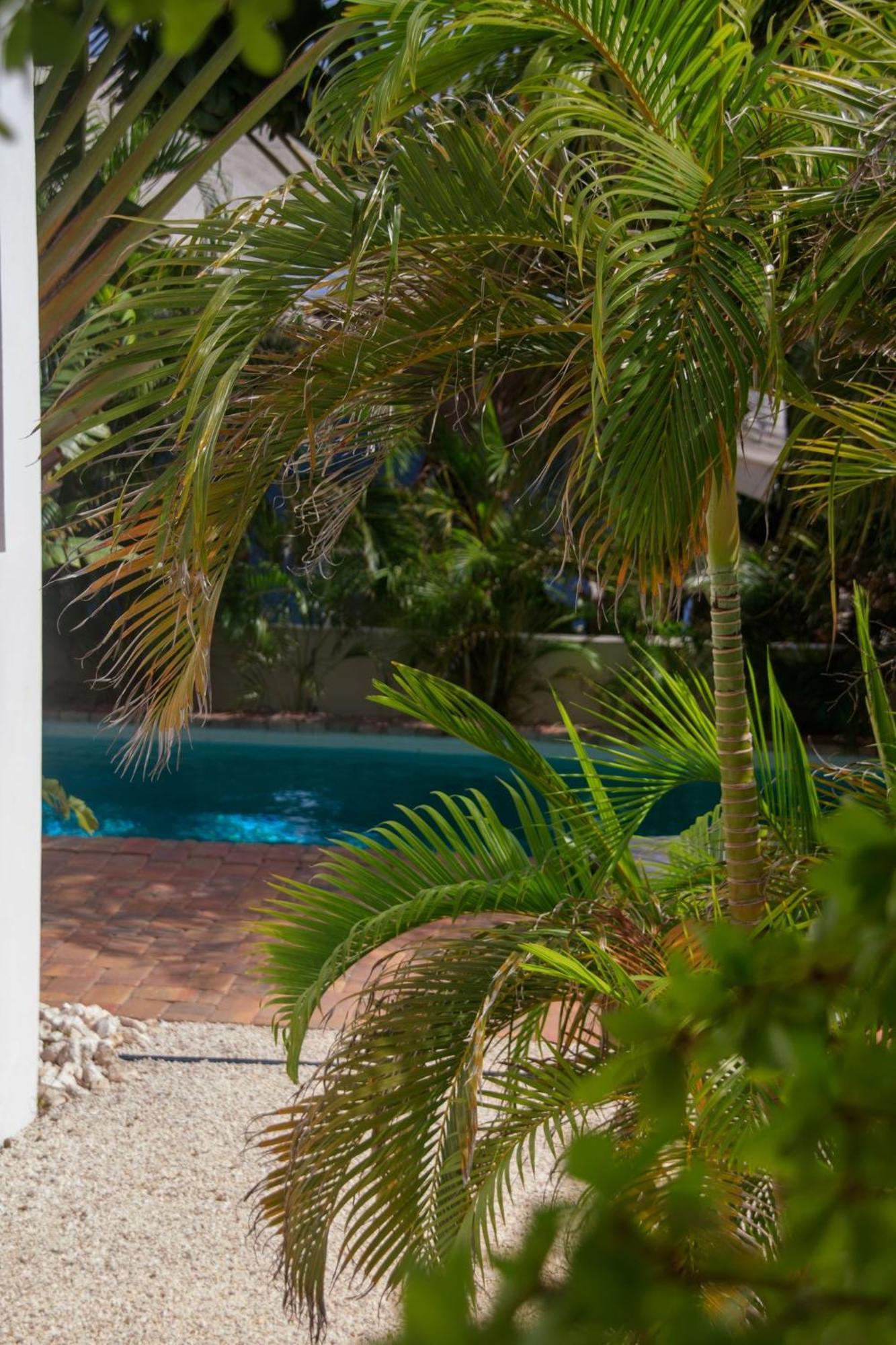 Major. Suites Curacao วิลเลมสตัด ภายนอก รูปภาพ
